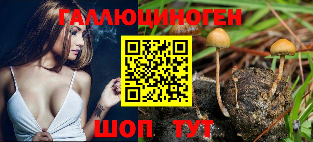 Псилоцибиновые грибы MAGIC MUSHROOMS Еманжелинск